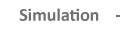 Simulation